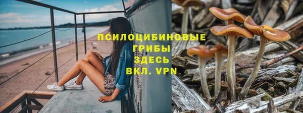 каннабис Беломорск