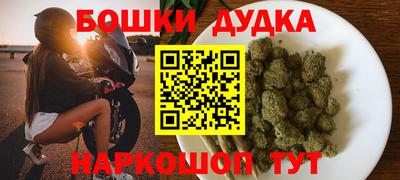 индика Бийск