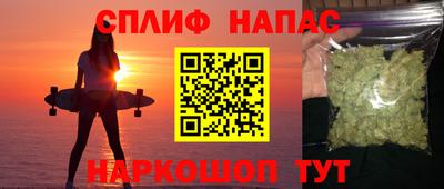 индика Бийск