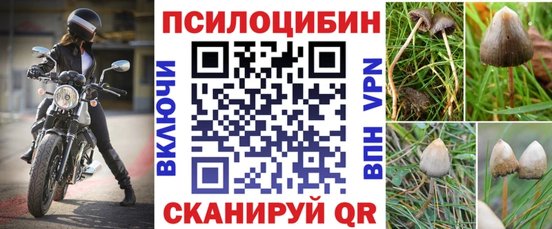 Псилоцибиновые грибы GOLDEN TEACHER дарк нет клад Валуйки