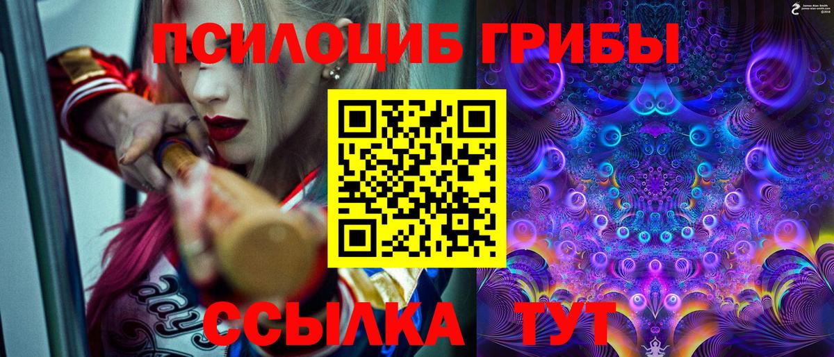 Псилоцибиновые грибы прущие грибы  Валуйки 